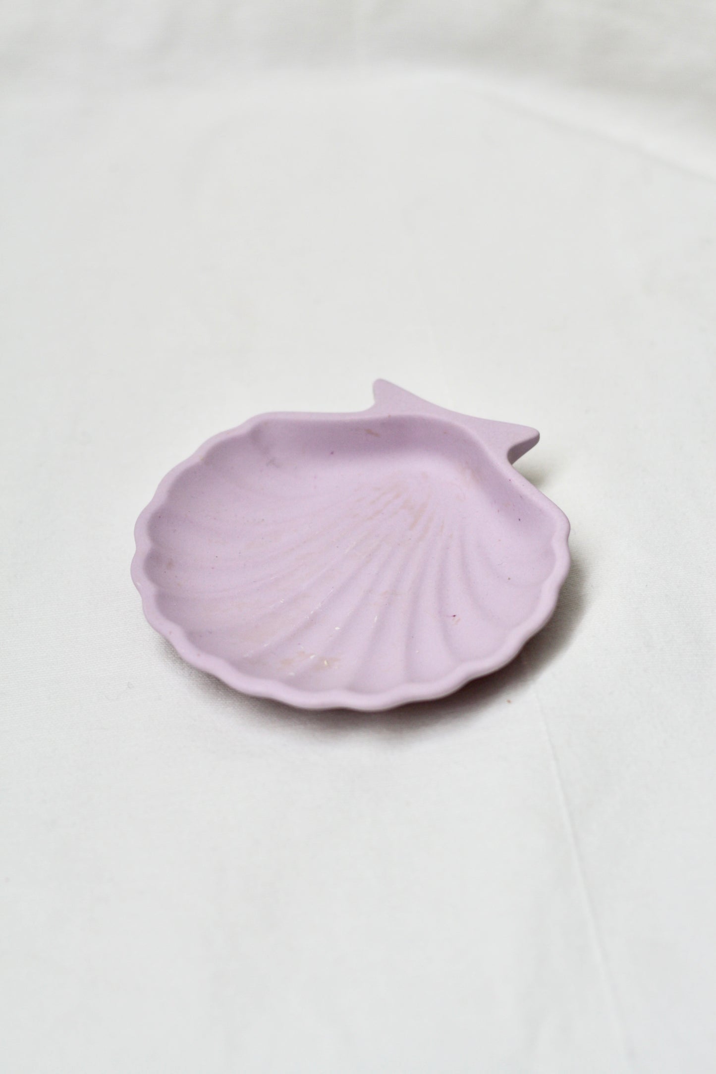 Conchiglia Lilla